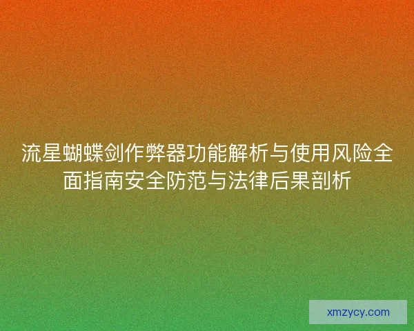 流星蝴蝶剑作弊器功能解析与使用风险全面指南安全防范与法律后果剖析